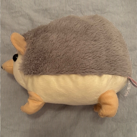 Super adorable hedgehog - Picture 2 of 4